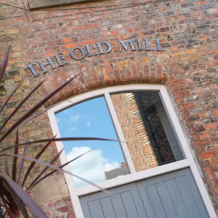 New Loft *